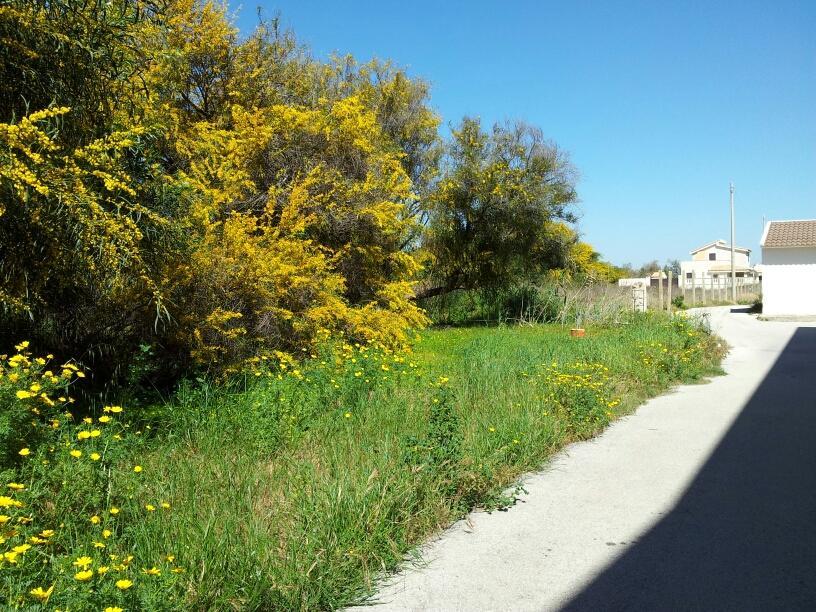 Casa Viale Lido Villa Marzamemi Kültér fotó